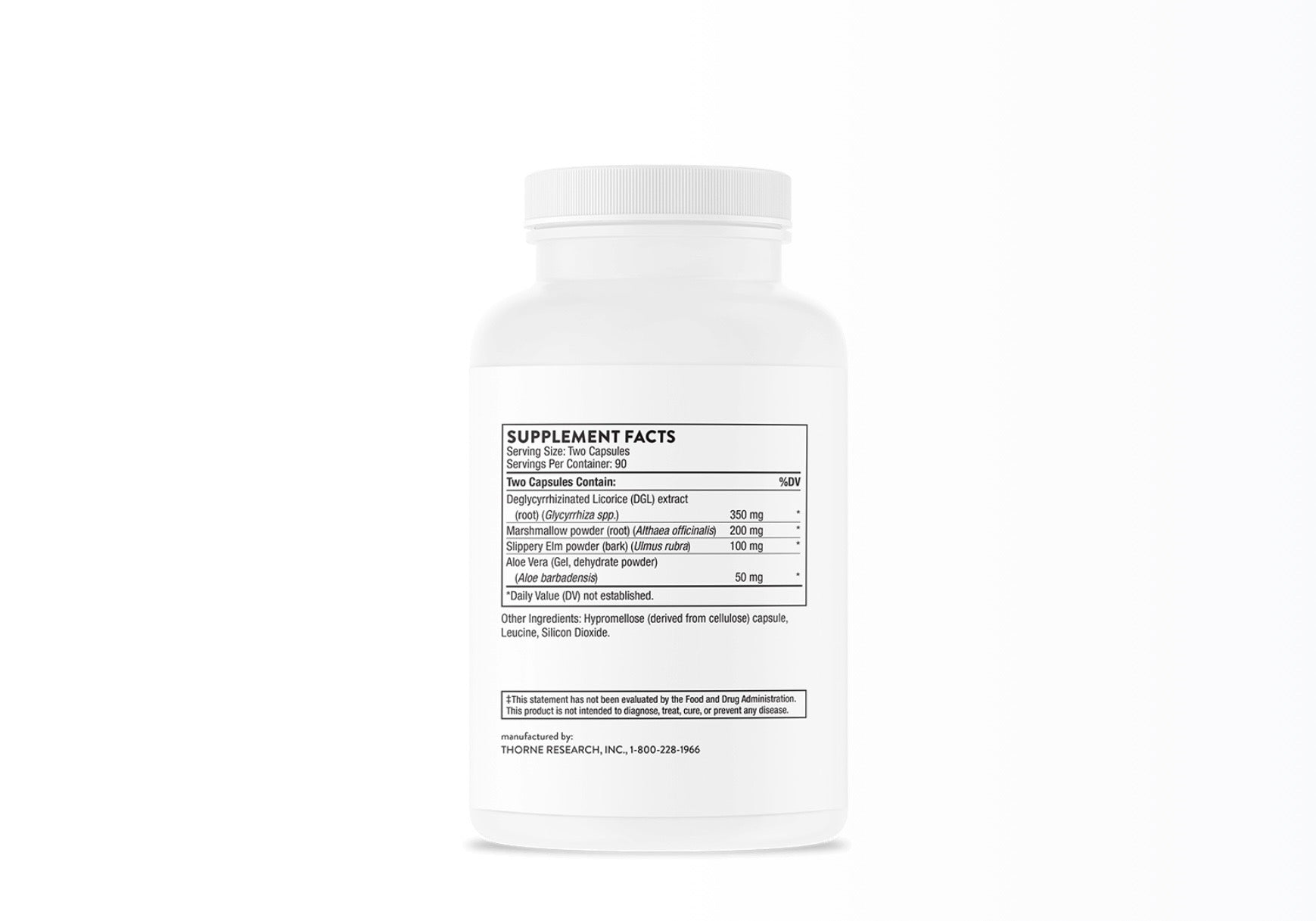 Thorne G-1 Relief | Gut Support